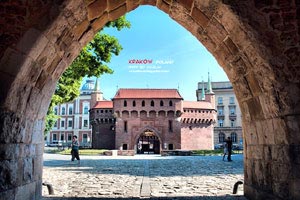 意甲球队引援动作频频，力图提升实力