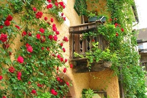 热刺主场痛失胜利，客场惨败结束两连胜