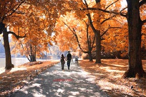 谢菲联主帅展望未来比赛，寻找突破口